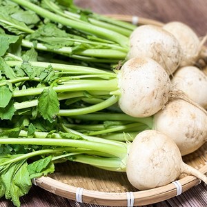 무주 햇 순무 하얀순무 과일무, 1박스, 3kg