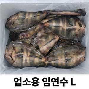 업소용 식당용 손질 러시아 임연수 L (600~700g) / 손질 세척 염장 할복 / 이면수 도매 벌크, 1박스, 임연수 L 10미