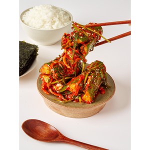 [입점특가] 30년 전통 국산 오이소박이 HACCP, 1개, 2kg