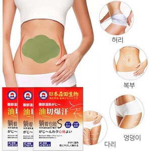 복부 다이어트 패치/ 슬림 복부 온열 패치/ 지방 연소와 바디라인 개선 평탄한 복부를 위한 비밀, 3개, 5개입