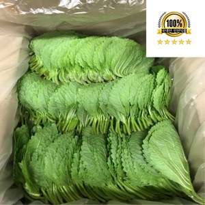 국내산 깻잎 내외, 1개, 500g