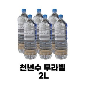 가야산천년수 천년수 무라벨 생수, 2L, 36개