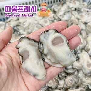 따봉프레시 수압으로 까서 상처 없는 황제 생굴, 1개, 1kg