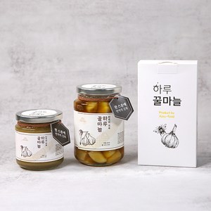 국산 꿀마늘 꿀마늘 스틱 하루한포 내 면역력 지킴이, 1박스, [병 간마늘]하루꿀마늘500g, 500g