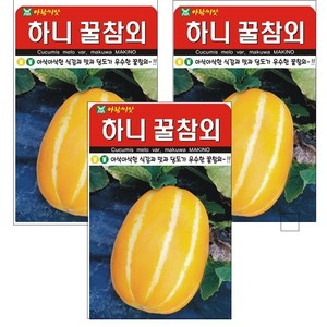 하니 꿀 참외 씨앗 50립, 3개