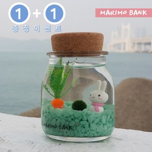 원플러스 [1+1]그린 마린토끼 DIY세트-마리모소(5mm)포함, 1개