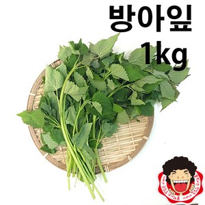 똘박이 방아잎(1kg), 1kg, 1개