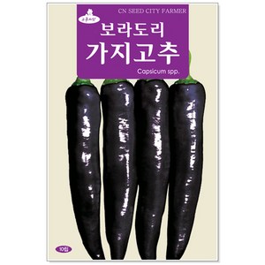 보라도리 가지고추 씨앗 10립, 1개