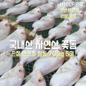 국내산 자연산 동해안 손질 반건조 참돔 (꽃돔) 700g 5미, 1박스