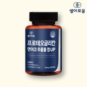 셀이로움 프로테오글리칸 연어코 연골 추출물 프리미엄 정 UP 식약처 HACCP 인증 60정 콘드로이친 보스웰리아 함유, 1개