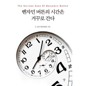 벤자민 버튼의 시간은 거꾸로 간다(미니북), 자화상, F. 스콧 피츠제럴드