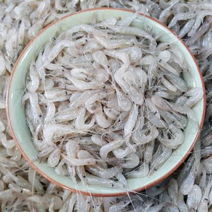 국산 민물새우(새뱅이) 민물새우 500g, 1개