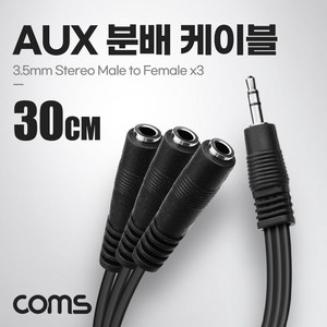 AUX 분배 케이블 30cm Y형 스테레오 (W9401BA), 본상품선택