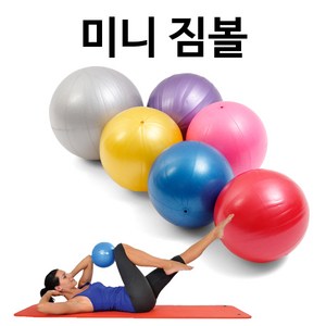 위시 미니짐볼(퍼플)30cm + 손펌프