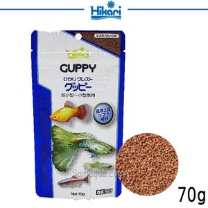 히카리 구피 사료, 70g, 1개