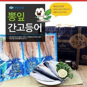 [부안수협] 뽕잎 간고등어 총 2kg(10팩), 총 2kg 내외, 10개