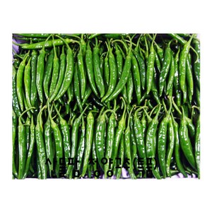 산들팜 청양고추, 1박스, 특품10kg