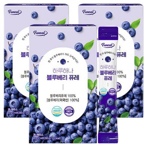 퍼니트 하나하나 블루베리 퓨레, 20g, 42개