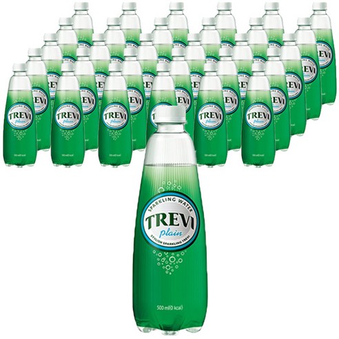 트레비 플레인