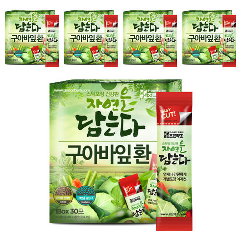 조은약초 자연을 담는다 프리미엄 구아바잎환 스틱, 90g, 5개
