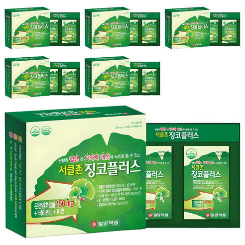 일양약품 서클존 징코플러스, 120정, 6개