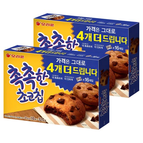 오리온 촉촉한 초코칩