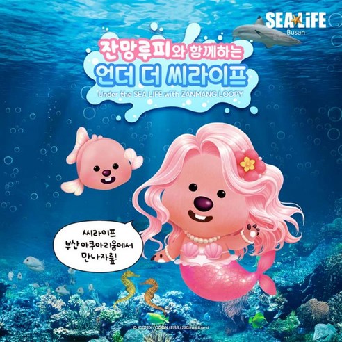 ★ (성수기) 아쿠아리움 1일 입장권 (*당일사용불가)