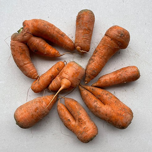 국내산 햇 흙당근, 10kg(못난이), 1개