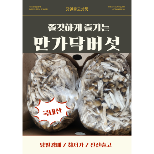 국내산 갈색 만가닥버섯 신선한 버섯 샤브샤브용 볶음용, 2개, 2kg