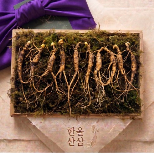 한울산삼 10년근 강원도 깊은 산 삼 선물세트