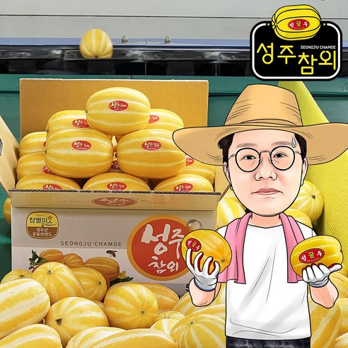 프레시왕 고당도 성주 꿀 참외 선별장직송, 1박스, 004.못난이 성주참외 혼합과 9kg