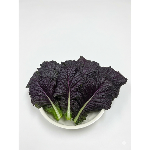 오늘한쌈 야채샐러드 채소1kg적겨자 쌈채소 당일수확 산지직송, 1박스, 1kg