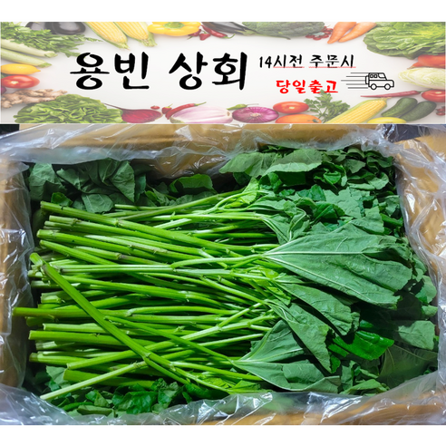 ( 용빈 상회 ) 국내산 아욱 1kg내외 4kg내외