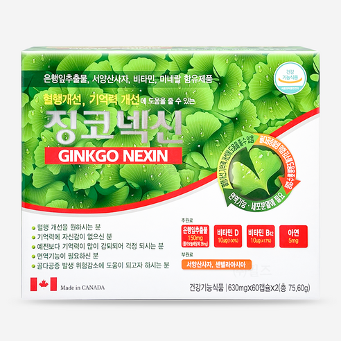 징코넥신 60캡슐 (2개월분) 은행잎추출물