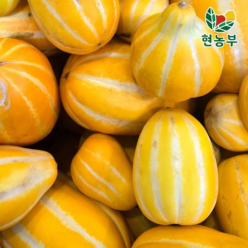 산지직송 성주 꿀참외 당도선별 못난이 랜덤혼합