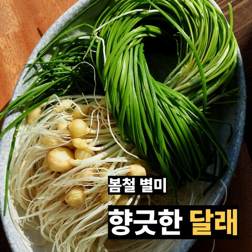 [무료배송] 국내산 달래 봄나물 신선한 달래 소포장 산지직송