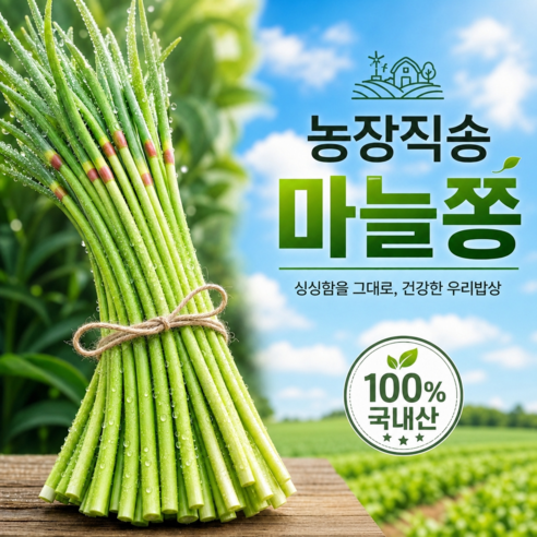 [작년판매1위] 산지직송 국산 마늘쫑 특품