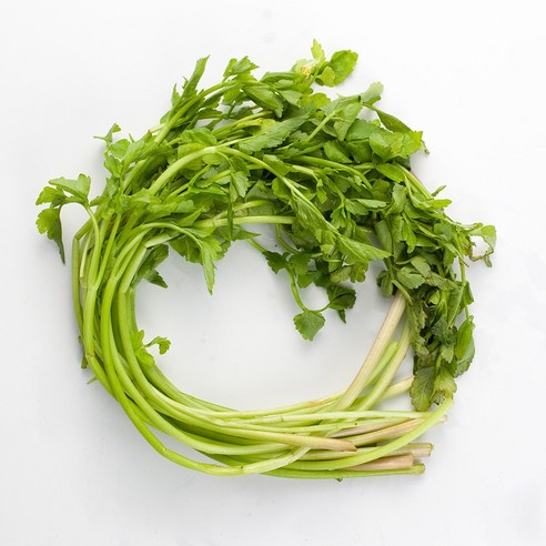 국내산 돌미나리, 4kg, 1개
