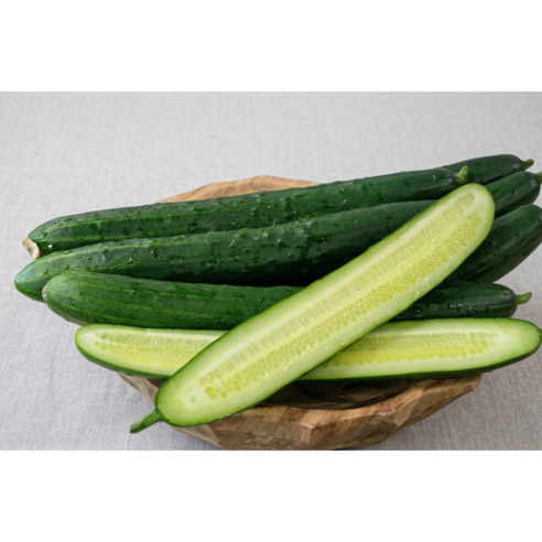 (당일경매) (당일발송) 아삭한 국내산 취청오이 (청오이), 1개, 2kg
