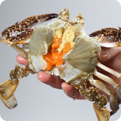 연안 제철 꽃게 봄 알배기 암꽃게 활꽃게 햇꽃게, 1박스, 1kg 활 소 암꽃게(4-6미내외)