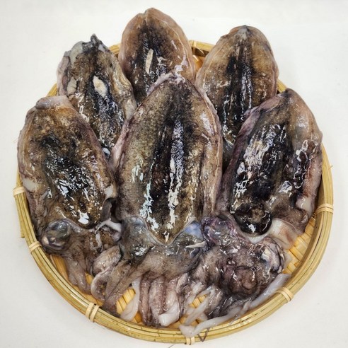 수산잇츠 갑오징어 6미, 3개, 약500g