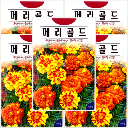 KS종묘 메리골드 100립 루테인 홀꽃 식용꽃 일년생 꽃씨 씨앗 종자, 5개