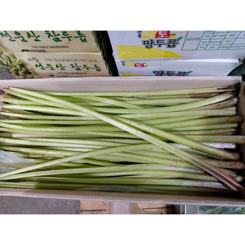 국내산 머위대 2kg