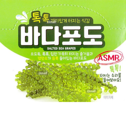 바다포도