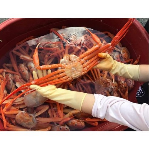 진강수산 포항 구룡포 국산 박달 홍게 2kg 3kg 수율보장 영덕 울진 자숙 홍게