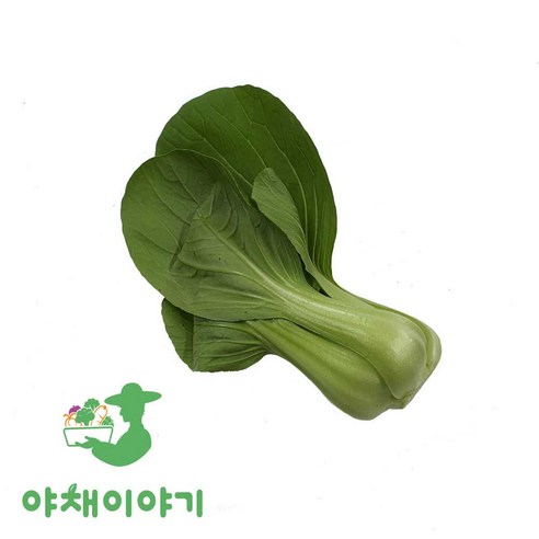 야채이야기 싱싱한 청경채 2kg, 1개, 2kg