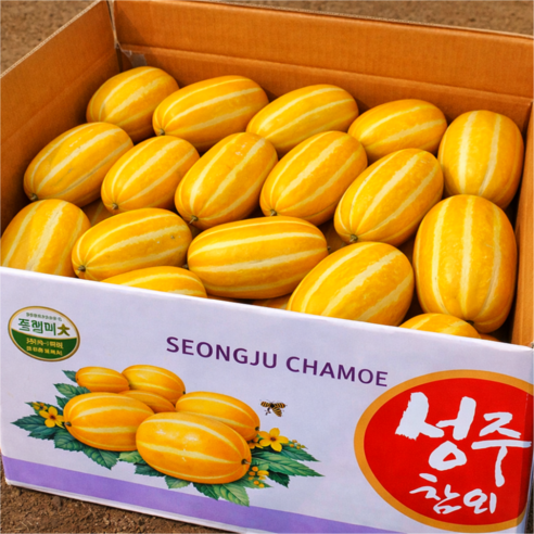 최대19brix 제철 초고당도 꿀 참외