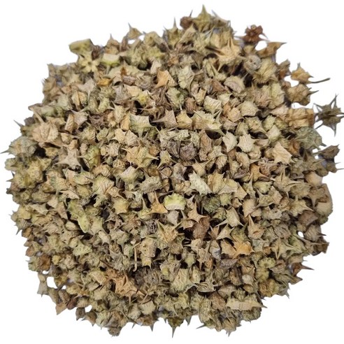 엄선한 안도산 백질려(400g)