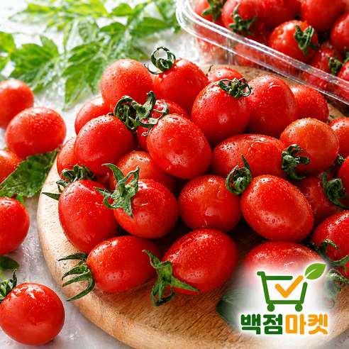 백점마켓 엄선 스테비아 방울토마토 고당도 달콤한 프리미엄 토마토 산지직송 당일수확 신선과일_500g(1팩,2팩,3팩,4팩)_백점마켓