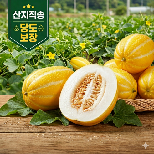 [당일수확] 농장직송 고당도선별품 성주꿀참외 실속가정용혼합과